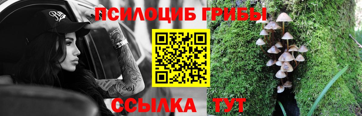 Галлюциногенные грибы мицелий  Вход с VPN  Галлюциногенные грибы Cubensis  Таганрог 